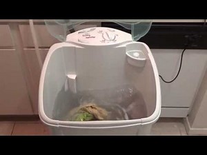 The Laundry Alternative Superpop