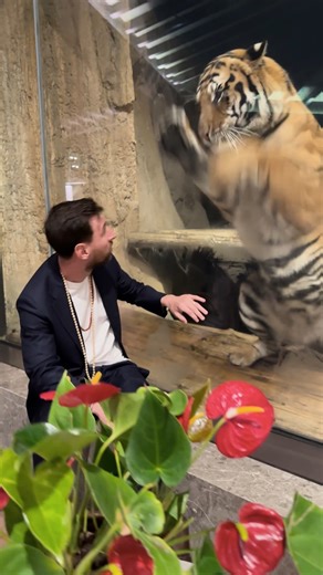 Republic Bharat on Instagram: "Messi finds joy in the little moments at Vantara—deeply impressed by the care and compassion shown to every animal. #lionelmessi #Vantara #GOATTour"
