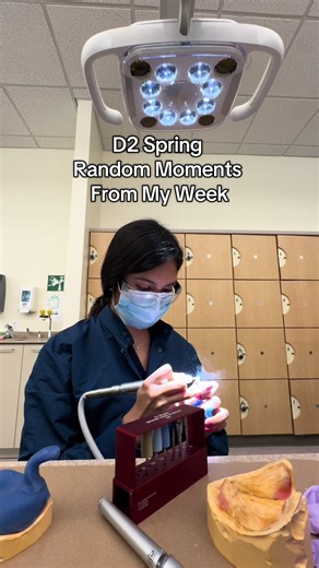 This one was especially fun to make - D2 spring is so random 🦷✨#dentalstudent #gradschool #dental #stayfocused #funmoments