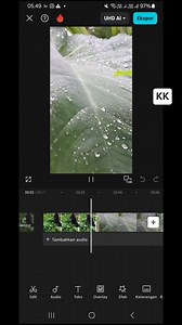160K views · 4.9K reactions | Cara bikin vidio estetik dari daun talas ngak perlu hp mahal atau bagus, hp kentang juga hasilnya ok #editing #estetik #tutorial | Khairul Komariah | Facebook