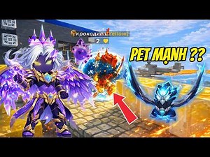 (Blockman Go) Bedwars: Testing the True Power of the Black Crow Pet and the Unexpected Outcome??