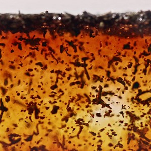 1.1K reactions · 67 shares | Ice cold and ready to drink. Experience our expertly crafted Pure Leaf Tea House Collection Organic Black Tea Sicilian Lemon & Honeysuckle flavor. Our Thing is Tea. | Pure Leaf | Facebook