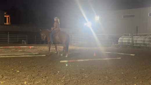 Two of today’s riders working on a challenging exercise. It may just look like trotting and turning and maybe that’s all some riders would do on this exercise. For us, what we look for here are balanced turns. No diving in or floating out. No rushing or breaking down to the walk (this happens in the video a few times, it’s a work in progress) both are symptomatic of a horse not keeping its back raised and shoulders free. And, staying in frame. No swinging their hips out of the turn or raising th