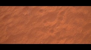 1.8K views · 25 reactions | Aru Game Lodges is rated one of the very...