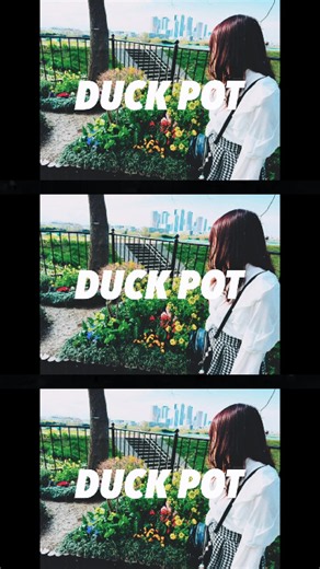 「思い出の中で生きる君がいた。」HONEY BABY/DUCK POT #インディーズバンド #邦ロック #オリジナル曲 #ロックバンド #ライブ