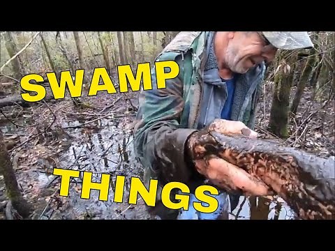 Swamp Things