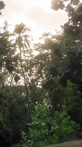 With much excitement, SLASPA shares the architectural impression with this fly through video of the Hewanorra International Airport Redevelopment Project. The project consist a master plan built with a 30 year lifespan and incorporates three broad thematic areas namely: Air Side - upgrade to the runway, introduction of a parallel taxi way, a new Air Traffic Control Tower, a new parking apron with six parking positions - five of which will be be serviced by passenger loading bridges (jet bridges)