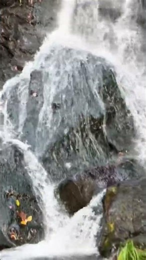 Amicalola Falls 🌊- Famous for 600+ stair climb, scenic hikes 🥾