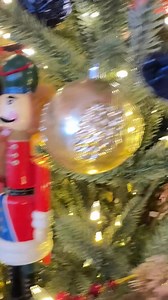 Brian Wilson on Reels