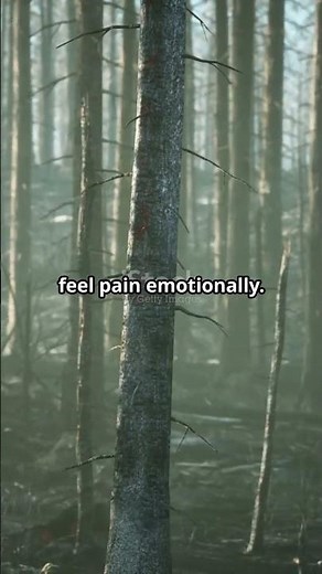 Can Plants Feel Pain? The Shocking Scientific Truth
