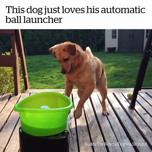 This is the cutest thing ever 😩😍 | VT