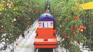 China’s Landless Farming: How Water and Technology Are Changing Food Production