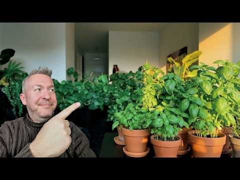 I Let My Smart Home Water My Plants… And It Actually Worked 🌱