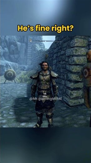 Skyrim: Funny & Relatable pt 535