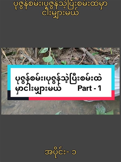 #ပုဇွန်စမ်း၊ပုစွန်သဲ့ပြီးစမ်းထဲမှာငါးမျှားမယ်အပိုင်း၁ #ရေချိုပုဇွန် #ရေချိုစမ်း #anglerpaigyifishingvlog #fypシ゚ပေါ်ရောက်စမ်းကွာ😍😍