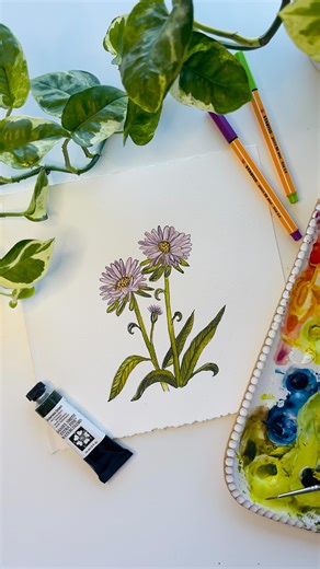 5.7K views · 121 reactions | Septembers Birthflower are Asters or...