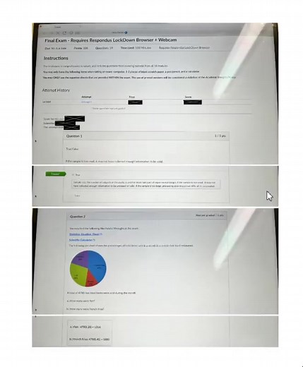 MATH 110 Final Exam (Latest-2025) / MATH110 Introduction to...