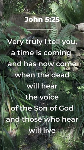 John 5:25 - In His Presence instrumental Worship #shortsfeed #shorts