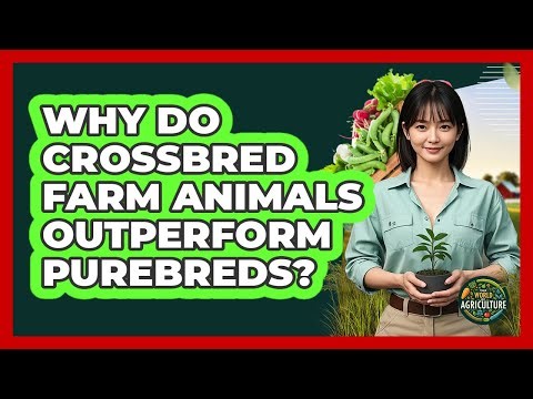 Why Do Crossbred Farm Animals Outperform Purebreds? - The World of Agriculture