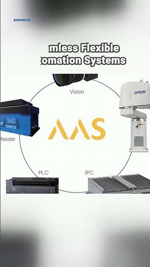 Slash Packaging Costs 30% with Our Fully Automatic Packaging Line