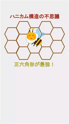 ハニカム構造の不思議、正六角形が最強！【日常の数学Short】#蜂の巣 #みつばち #ハニカム #正六角形 #数学