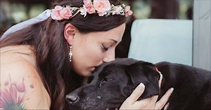 Dying Dog Carried Down The Aisle To Be By His Human On Her Wedding Day
