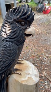 Heres one Aussie icon from start to finish! 🦜 . . . . . . . #chainsawcarving #woodwork #carving #carved #chainsaw #art #artistsoninstagram #artist #woodworking #wood #sculpture #chainsaw #bkcarving #timber #woodsculpture @husqvarnaaustralia #husqvarnaau #sponsored #cockatoo #blackcockatoo #cockatooart | BK Carving