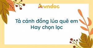 Tả cánh đồng lúa quê em lớp 3 Hay chọn lọc