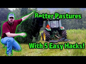 Optimize Your Cow Pastures: 5 Hacks For Pasture Management