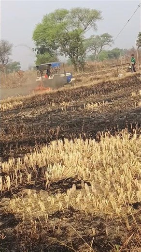 Wheat Crop Preparation | Field Ploughing with Tractor 🚜