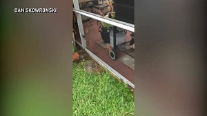 13K views · 111 reactions | WATCH: Heavy rains sent land crabs onto a Port St. Lucie home. (video courtesy: Dan Skowronski) | CBS 12 News | Facebook