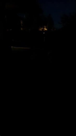 Literally Two Barks in the Dark #shortsfeed #fypdog #dark #barkingsound