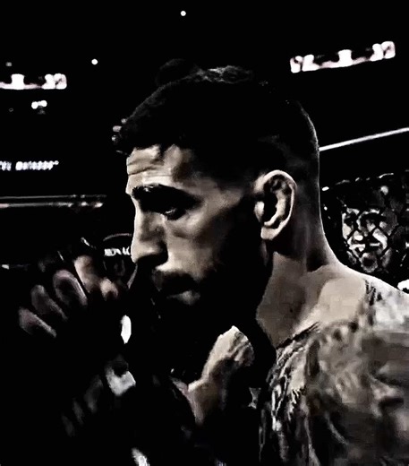 Art Inspired by UFC Fighters: A Creative Perspective