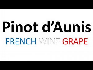 How to Pronounce Pinot d'Aunis? French Wine Grape Pronunciation