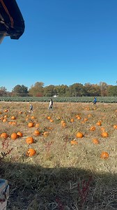 Ever wonder what it’s like to take one of our scenic hayrides around the Farm? This video is just for you! 🎃We have hayrides to the Pumpkin Patch running Monday - Friday, 12 - 5, and Saturdays 10-5. Halloween is coming soon, if you haven’t already, stop by with the family and pick a pumpkin! | Duffield's Farm