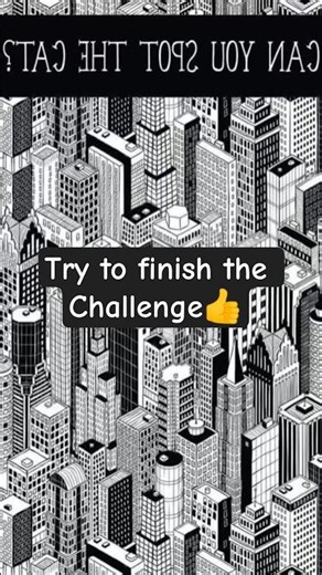 Spot the Cat Challenge 🐾Can you find the hidden animal before time runs out? 👀⏳shots #catreels #cat