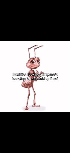 r u being fr #fyp #bmxracing #usabmx #real #xyzbca #relateable #bike