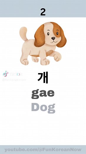 FunKoreanNow on TikTok