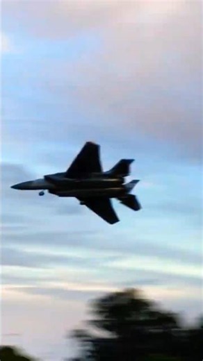 F-15 Eagle twin edf jet fly past #rcplane #rc #aviation #shorts
