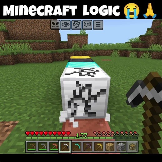 Minecraft Logic Is Just Different! 😂🙏