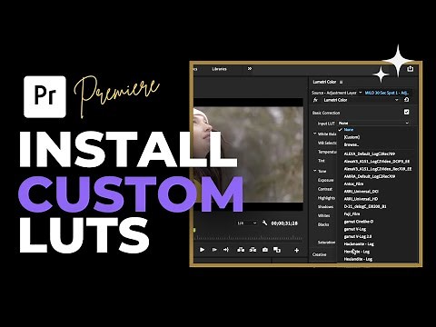How To Add & Install Custom Luts In Premiere Pro CC 2022