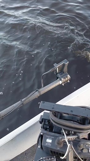 18K views · 140 reactions | Thought I'd take advantage of this beautiful November day, while at the same time prepping the Fury for spring. Fish are biting.   | Jason Groll Fishing Guide | Facebook