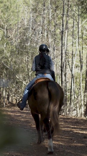 The beauty of the Bluff's 20,000 acres shines amidst nature's majestic trails. 🐎 | Palmetto Bluff