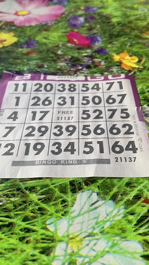 Bingo Card Close-Up: Colorful Gameplay Insights