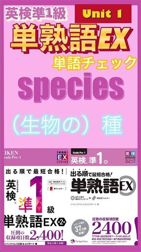 #22【周回推奨】準一級単熟語EXから10問、単語確認テスト#単語帳#英単語