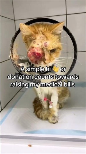 It’s okay if you can’t help me please 🙏 share to one person