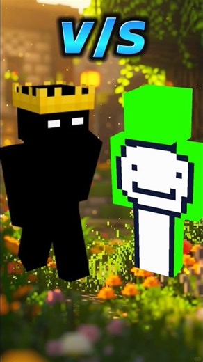 Null V/S YouTuber and Entity in Minecraft