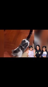 257K views · 4.8K reactions | Try not to laugh water challenge shfa #comedy #viral #hairstyle #trendingvideo #funny #partygame #comedy #viralreels | Shfa2 | Facebook