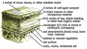 How Can You Conserve Soil?