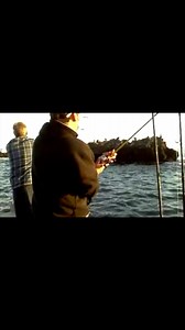 I Miss Calico Bass Fishing! Your Saltwater Guide is Sponsored by Reel Quick Fishing. | Your Saltwater Guide